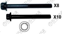 КОМПЛЕКТ БОЛТОВ (ГБЦ) TG-CHB021-SET * Ti•GUAR