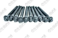 КОМПЛЕКТ БОЛТОВ (ГБЦ) TG-CHB025-SET * Ti•GUAR