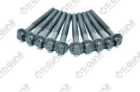 КОМПЛЕКТ БОЛТОВ (ГБЦ) TG-CHB024-SET * Ti•GUAR