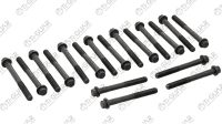 КОМПЛЕКТ БОЛТОВ (ГБЦ) TG-CHB011-SET * Ti•GUAR