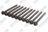 КОМПЛЕКТ БОЛТОВ (ГБЦ) TG-CHB016-SET * Ti•GUAR